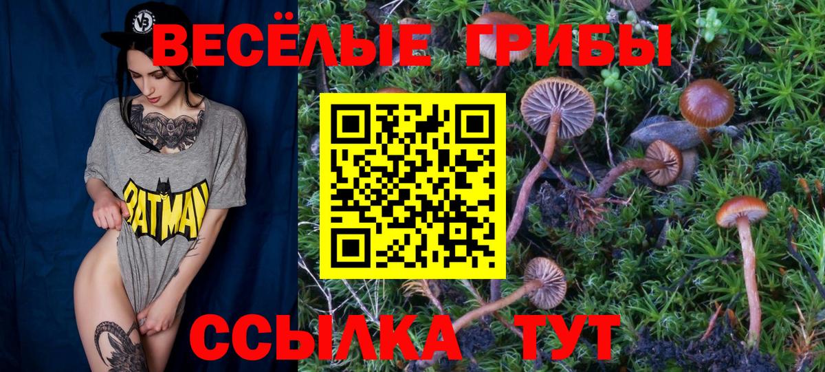 Галлюциногенные грибы мицелий Будённовск