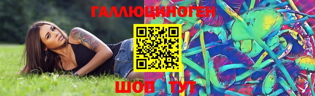 Псилоцибиновые грибы прущие грибы  Вход с VPN  Будённовск  Псилоцибиновые грибы MAGIC MUSHROOMS 