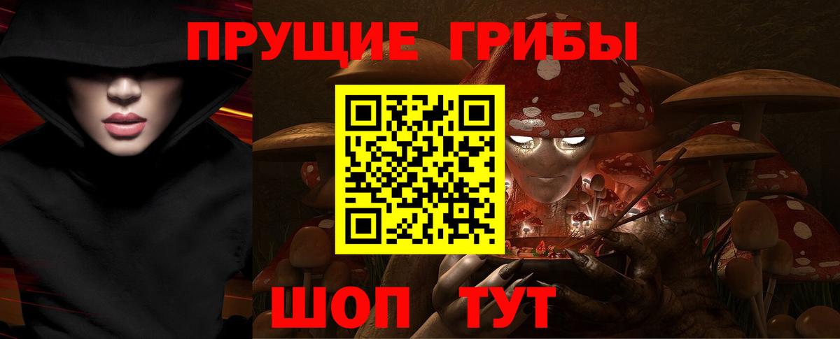 наркотики  Будённовск  Галлюциногенные грибы MAGIC MUSHROOMS 